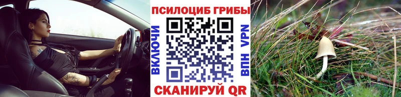 где продают наркотики  Называевск  Галлюциногенные грибы мухоморы 
